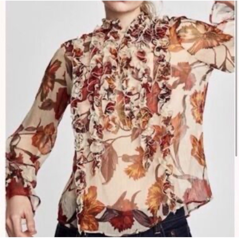 Zara Basic Women's XL Sheer Floral Ruffle Blouse Cream Orange Romantic Boho